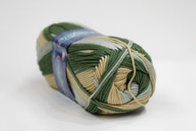 Cargar imagen en el visor de la galería, Hilaza Sinfonía