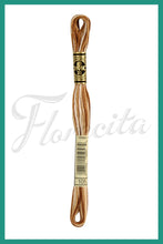 Cargar imagen en el visor de la galería, DMC 48 - 414