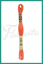 Cargar imagen en el visor de la galería, DMC 48 - 414