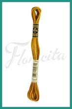 Cargar imagen en el visor de la galería, DMC 48 - 414