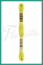 Cargar imagen en el visor de la galería, DMC B5200 - 35