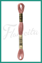 Cargar imagen en el visor de la galería, DMC 48 - 414