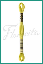 Cargar imagen en el visor de la galería, DMC 48 - 414