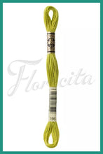 Cargar imagen en el visor de la galería, DMC 48 - 414