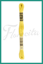 Cargar imagen en el visor de la galería, DMC B5200 - 35