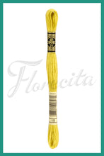 Cargar imagen en el visor de la galería, DMC B5200 - 35