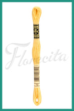 Cargar imagen en el visor de la galería, DMC B5200 - 35