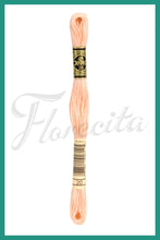 Cargar imagen en el visor de la galería, DMC B5200 - 35