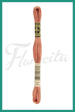 Cargar imagen en el visor de la galería, DMC B5200 - 35