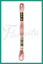 Cargar imagen en el visor de la galería, DMC 48 - 414