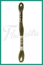 Cargar imagen en el visor de la galería, DMC 937 - 3744