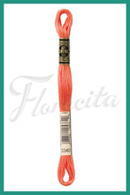 Cargar imagen en el visor de la galería, DMC 937 - 3744