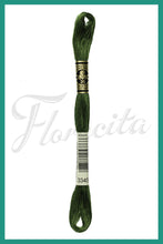 Cargar imagen en el visor de la galería, DMC 937 - 3744