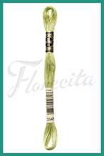 Cargar imagen en el visor de la galería, DMC 937 - 3744