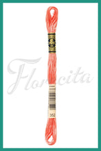 Cargar imagen en el visor de la galería, DMC 48 - 414