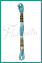 Cargar imagen en el visor de la galería, DMC 3745 - 3866