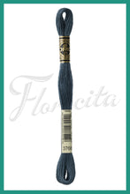 Cargar imagen en el visor de la galería, DMC 3745 - 3866