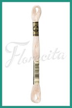 Cargar imagen en el visor de la galería, DMC 3745 - 3866