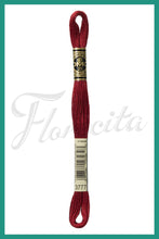 Cargar imagen en el visor de la galería, DMC 3745 - 3866