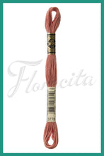 Cargar imagen en el visor de la galería, DMC 3745 - 3866