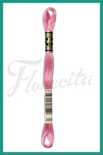 Cargar imagen en el visor de la galería, DMC 3745 - 3866