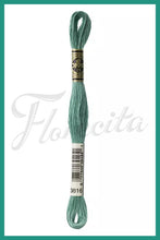 Cargar imagen en el visor de la galería, DMC 3745 - 3866