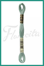 Cargar imagen en el visor de la galería, DMC 3745 - 3866