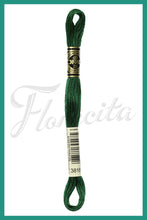 Cargar imagen en el visor de la galería, DMC 3745 - 3866