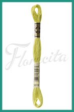 Cargar imagen en el visor de la galería, DMC 3745 - 3866