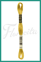 Cargar imagen en el visor de la galería, DMC 3745 - 3866