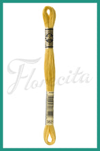 Cargar imagen en el visor de la galería, DMC 3745 - 3866