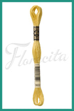 Cargar imagen en el visor de la galería, DMC 3745 - 3866