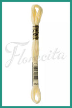 Cargar imagen en el visor de la galería, DMC 3745 - 3866