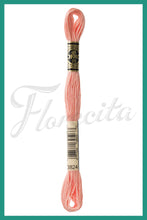 Cargar imagen en el visor de la galería, DMC 3745 - 3866