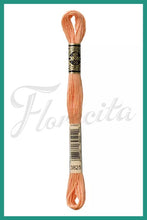 Cargar imagen en el visor de la galería, DMC 3745 - 3866