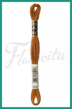 Cargar imagen en el visor de la galería, DMC 3745 - 3866