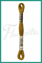 Cargar imagen en el visor de la galería, DMC 3745 - 3866