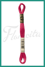 Cargar imagen en el visor de la galería, DMC 3745 - 3866