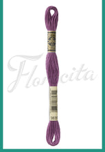 Cargar imagen en el visor de la galería, DMC 3745 - 3866