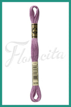 Cargar imagen en el visor de la galería, DMC 3745 - 3866