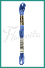 Cargar imagen en el visor de la galería, DMC 3745 - 3866