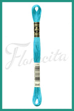 Cargar imagen en el visor de la galería, DMC 3745 - 3866