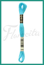 Cargar imagen en el visor de la galería, DMC 3745 - 3866