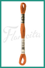 Cargar imagen en el visor de la galería, DMC 3745 - 3866