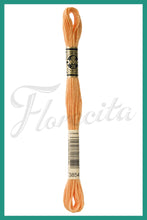 Cargar imagen en el visor de la galería, DMC 3745 - 3866