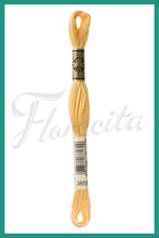 Cargar imagen en el visor de la galería, DMC 3745 - 3866