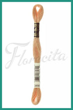 Cargar imagen en el visor de la galería, DMC 3745 - 3866