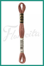 Cargar imagen en el visor de la galería, DMC 3745 - 3866