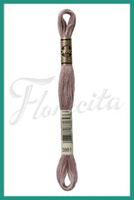 Cargar imagen en el visor de la galería, DMC 3745 - 3866