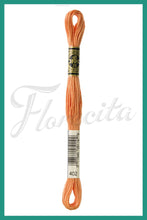 Cargar imagen en el visor de la galería, DMC 48 - 414